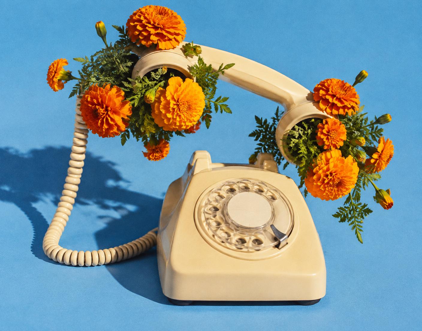A cream rotary telephone sprouting orange marigolds